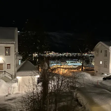 Lys, Koselig Og Sentrumsnaer I Stille Villastrok! アパート